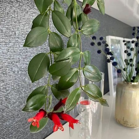 Riverside - Apartment *